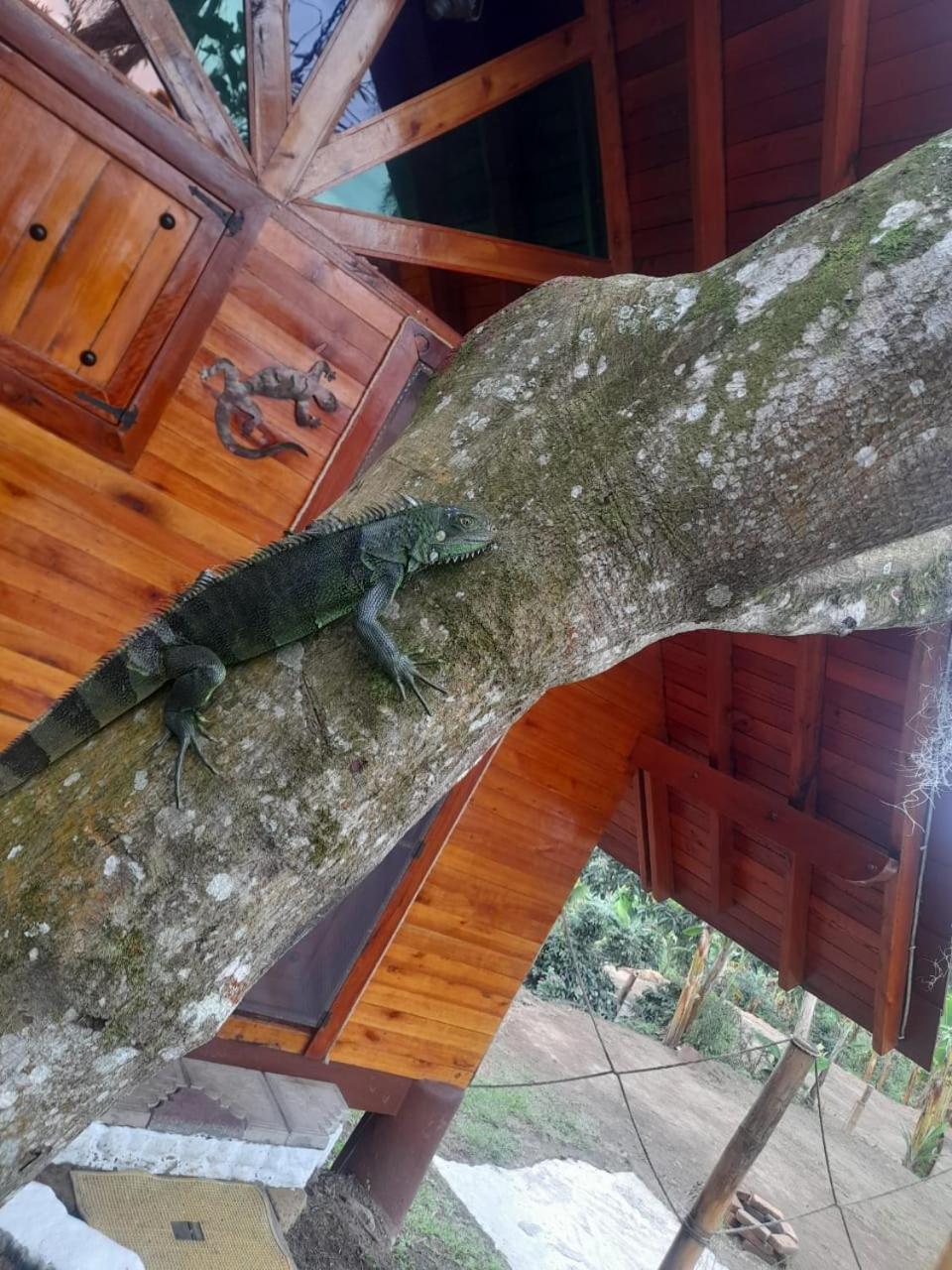 Cabanas La Miranda Filandia Buitenkant foto