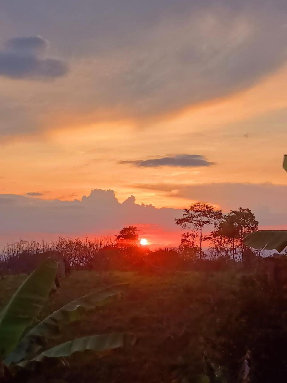 Cabanas La Miranda Filandia Buitenkant foto