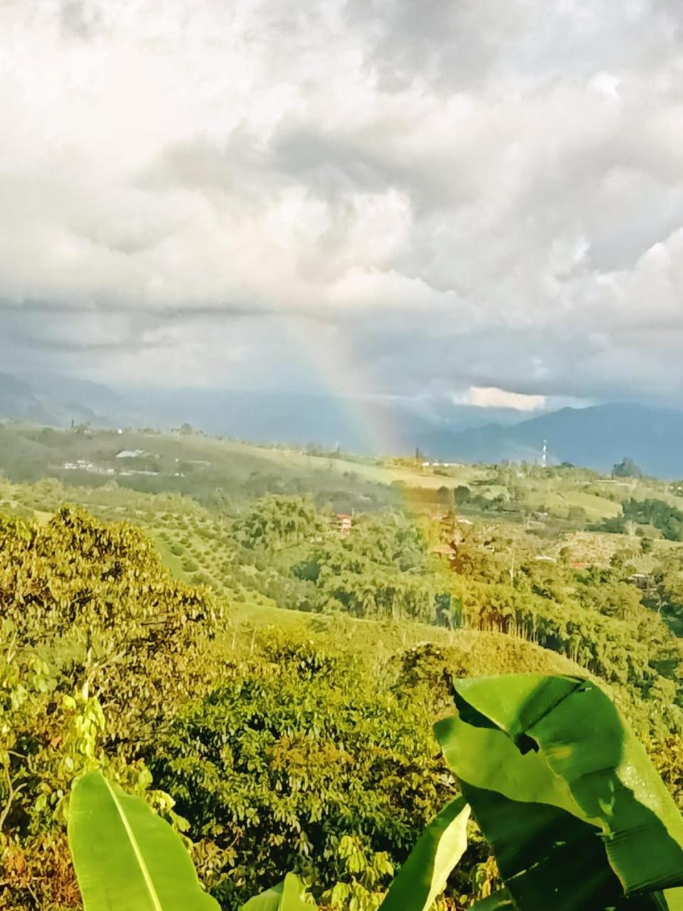 Cabanas La Miranda Filandia Buitenkant foto
