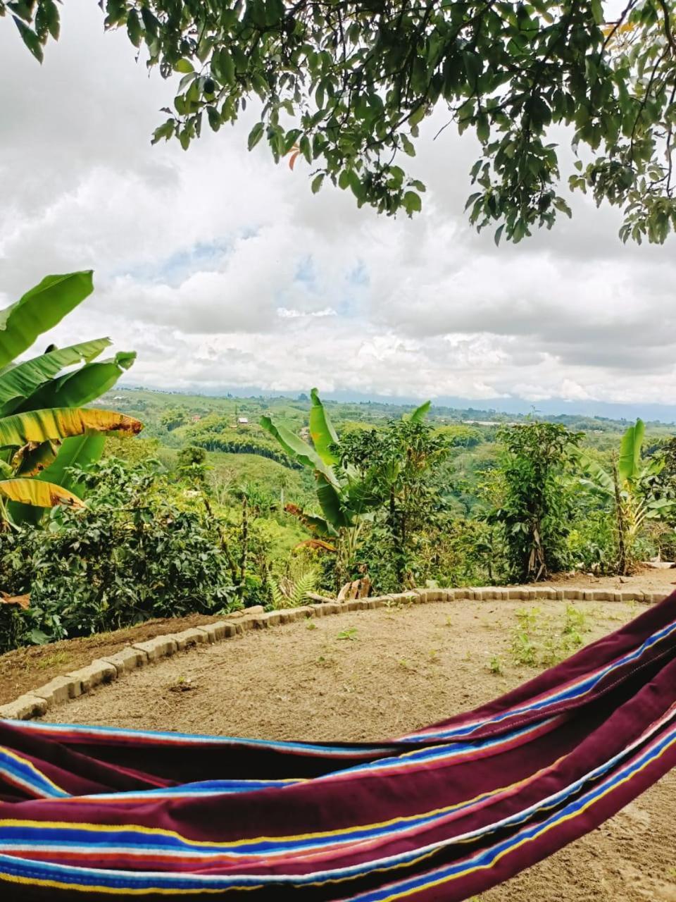 Cabanas La Miranda Filandia Buitenkant foto