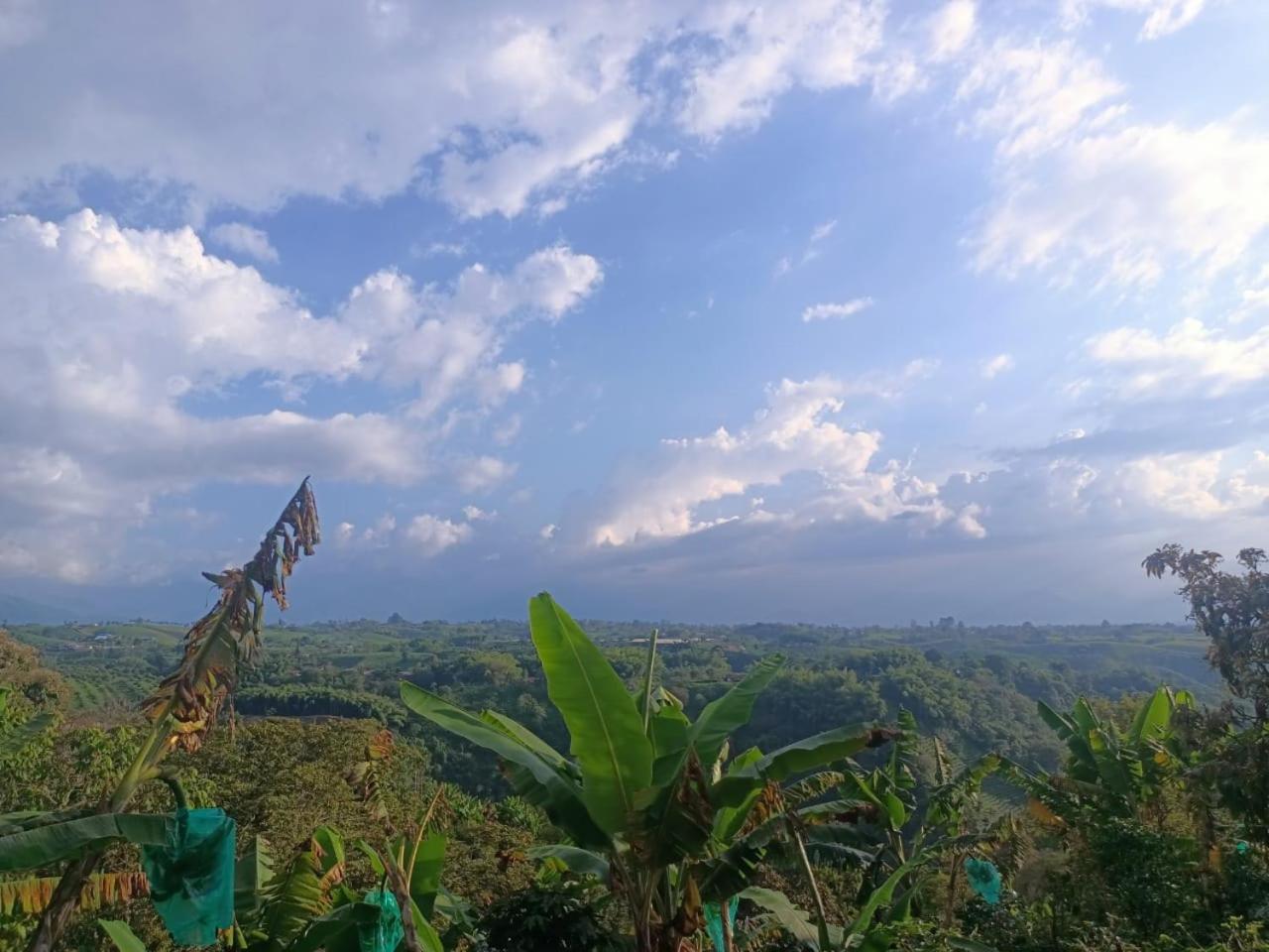 Cabanas La Miranda Filandia Buitenkant foto