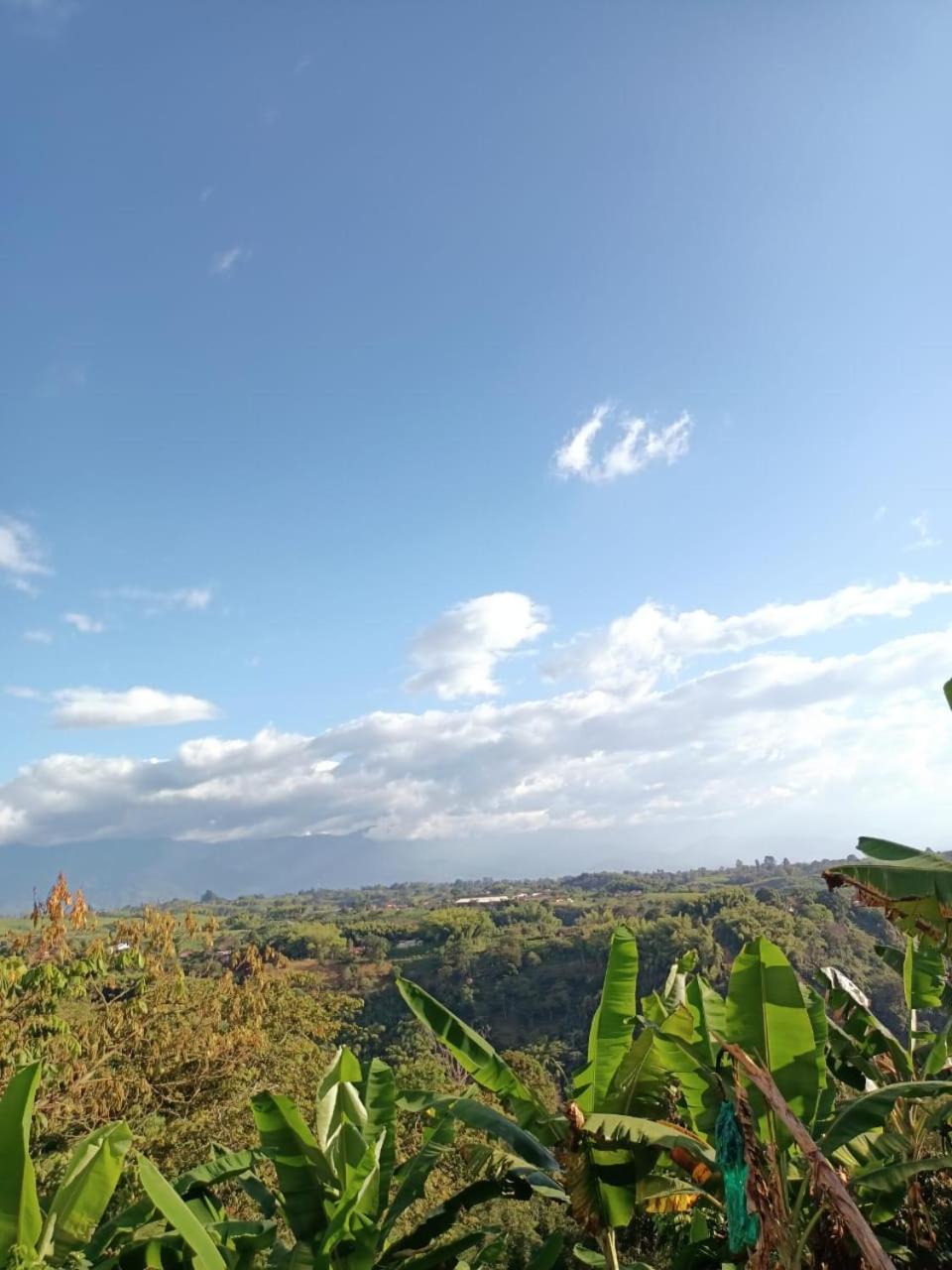 Cabanas La Miranda Filandia Buitenkant foto