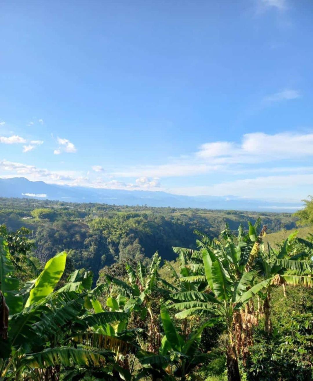 Cabanas La Miranda Filandia Buitenkant foto