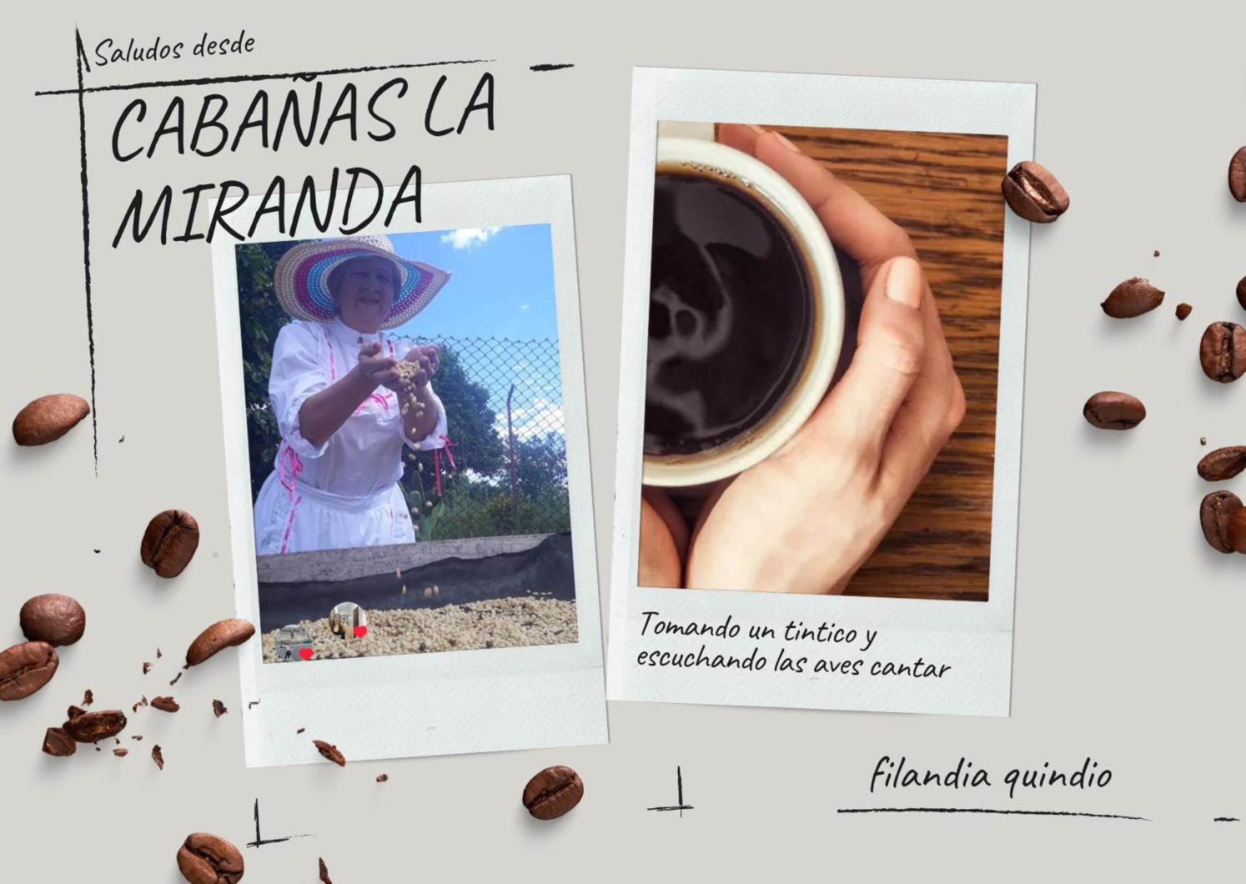 Cabanas La Miranda Filandia Buitenkant foto