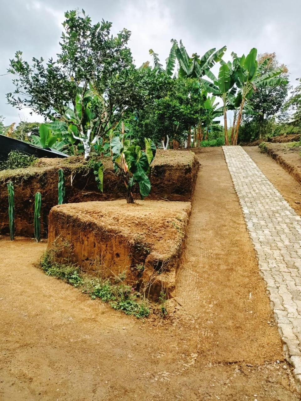 Cabanas La Miranda Filandia Buitenkant foto